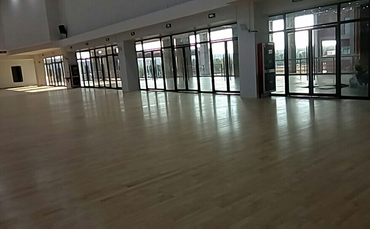 重慶專(zhuān)用實(shí)木運(yùn)動(dòng)地板品牌